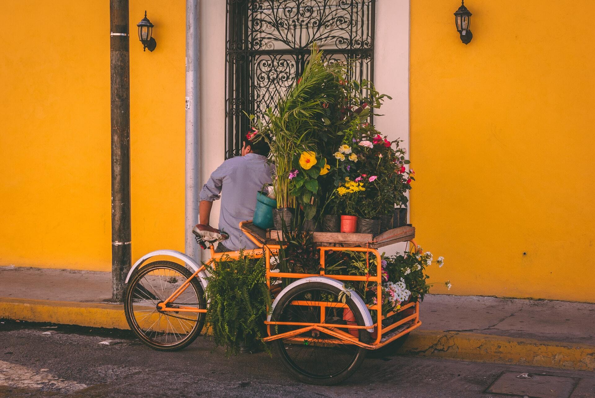 A man selling flowers from a bicycle provides a simplified representation of the 2PL model.